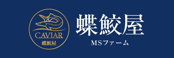 蝶鮫屋（MSファーム）